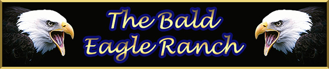 Bald Eagle Ranch Logo.